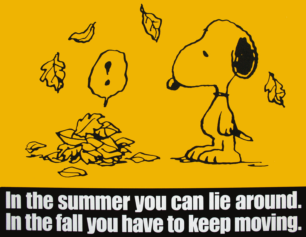 Peanuts Laminated Vintage Poster - Keep Moving