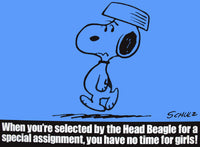 Peanuts Laminated Vintage Poster - Head Beagle (Minor wave in laminate)