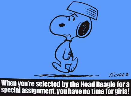 Peanuts Laminated Vintage Poster - Head Beagle (Minor wave in laminate) - snoopn4pnuts.com