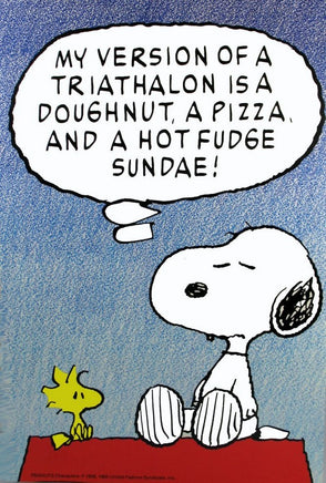 Snoopy And Woodstock Poster - Triathalon