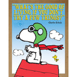 Snoopy Flying Ace Wall Poster