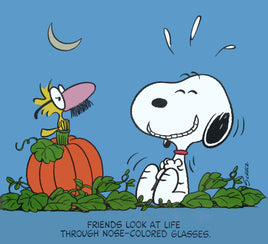 Peanuts Laminated Vintage Poster - Nose - Colored Glasses (Minor wave in laminate) - snoopn4pnuts.com