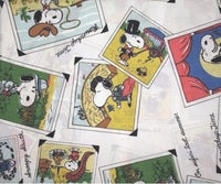 Vintage Peanuts Gang Pillow Case - Photos