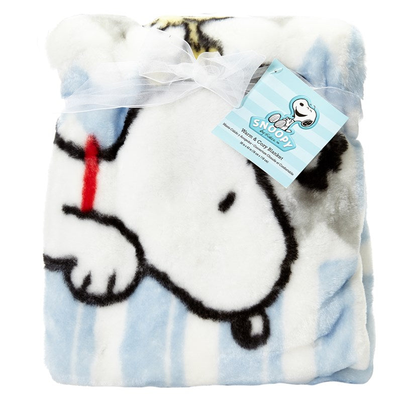Snoopy Chevron Plush Baby Blanket - Super Soft!