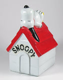 Snoopy Doghouse Bank