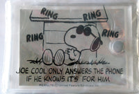 Snoopy Joe Cool Clear Vinyl Photo Album - Rare Japanese Sample! - snoopn4pnuts.com