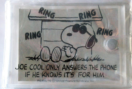 Snoopy Joe Cool Clear Vinyl Photo Album - Rare Japanese Sample! - snoopn4pnuts.com