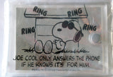 Snoopy Joe Cool Clear Vinyl Photo Album - Rare Japanese Sample!