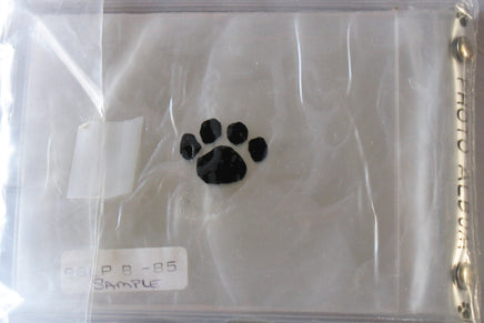 Snoopy Joe Cool Clear Vinyl Photo Album - Rare Japanese Sample! - snoopn4pnuts.com