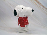 Snoopy "S" Shirt  Bank