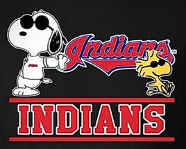 Snoopy Professional Baseball Indoor/Outdoor Waterproof Vinyl Decal - Cleveland Indians - snoopn4pnuts.com