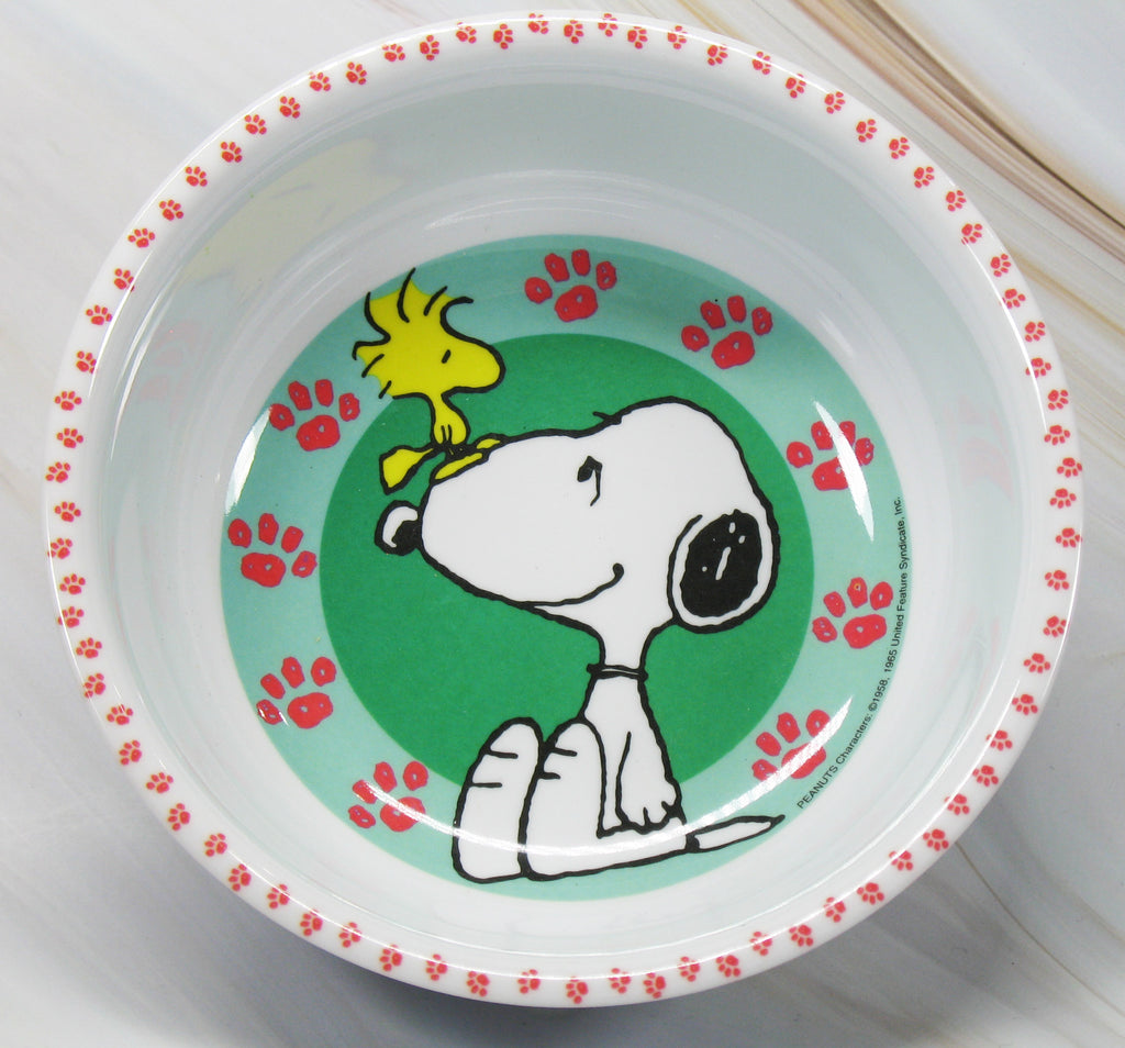 Snoopy Melamine Bowl