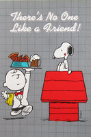 Peanuts Greeting Card Booklet With Envelope (8 Double-Sided Pages) - There's No One Like A Friend!