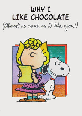 Peanuts Greeting Card Booklet With Envelope (8 Double - Sided Pages) - Why I Like Chocolate - snoopn4pnuts.com