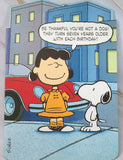 Snoopy Vintage Large Birthday Card With Pop-Out Image