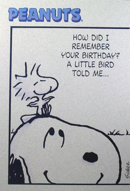Snoopy Large Vintage Birthday Card - snoopn4pnuts.com