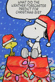 Christmas Card With Pop Up Feature - Snoopy Santa