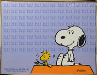 Snoopy and Woodstock Blank Note Cards - Hi!