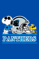 Peanuts Snoopy Double-Sided Flag - Carolina Panthers Football