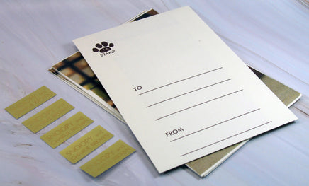 Charlie Brown Decorated Envelope and Seal Set - snoopn4pnuts.com