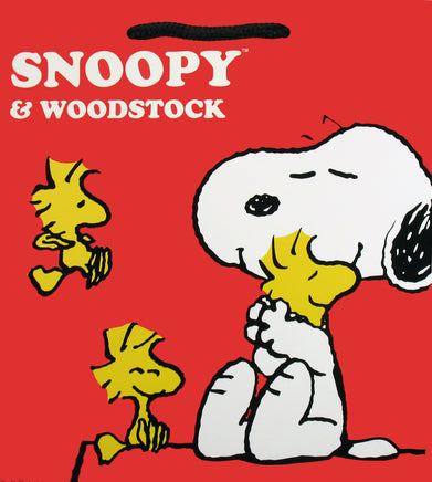 Snoopy and Woodstock Square Gift Bag - snoopn4pnuts.com