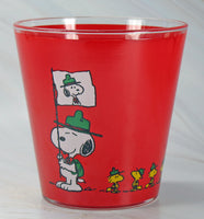 Snoopy Italian Drinking Glass - Segui le tue passioni (Follow your passions) - RARE!