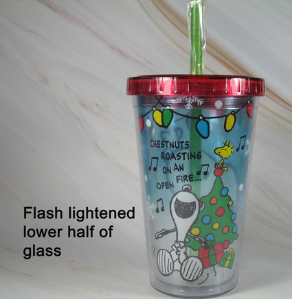Snoopy Double - Walled Acrylic Drinking Glass / Travel Mug With Straw - snoopn4pnuts.com