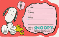 Peanuts ID Card - Sleepy Snoopy