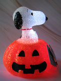 Snoopy Lighted Halloween Pumpkin Decor