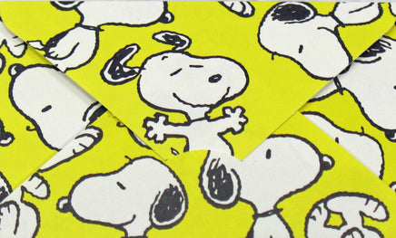 Snoopy Mini Folding Note Card Set - 20 Cards! (No Envelope Required!) - snoopn4pnuts.com