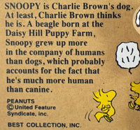 Snoopy and Woodstock Wood Wall Mirror With Pen Cup and Paper Holder Tray - RARE! (Photographed Flat Due To Reflections) - snoopn4pnuts.com