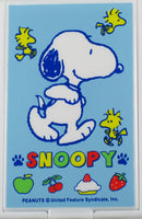 Snoopy Mirror and Comb Compact Set
