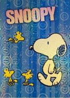 Snoopy Holographic Notebook