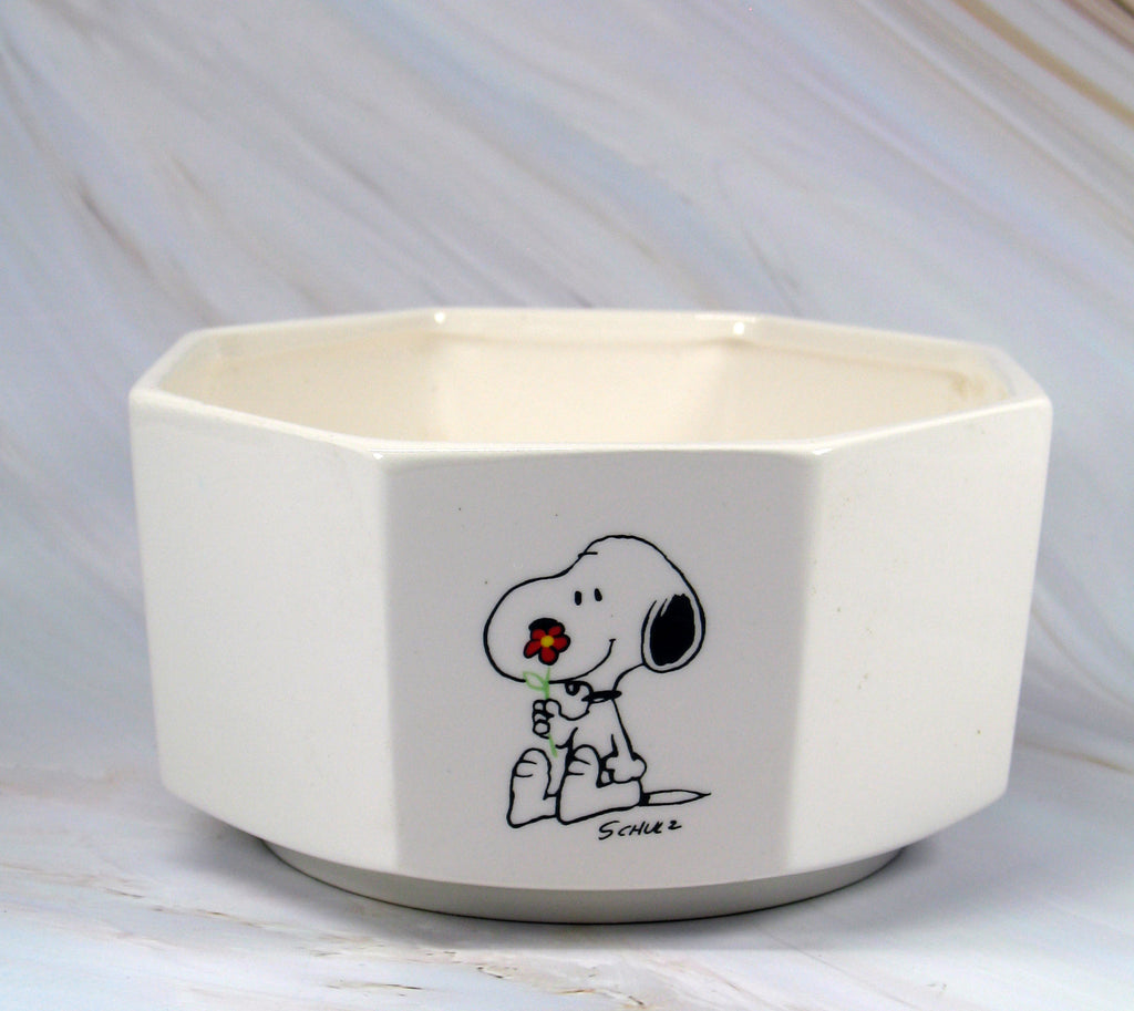 Snoopy and Woodstock Vintage Octagon Planter