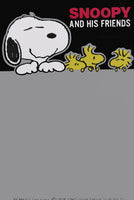 Snoopy and Friends Post Card Set Of Japan