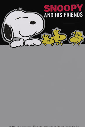 Snoopy And Friends Post Card Set Of Japan