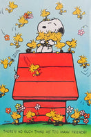 Snoopy and Friends Jigsaw Puzzle
