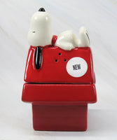 Snoopy's Doghouse Salt and Pepper Shakers With Magnetic Feature