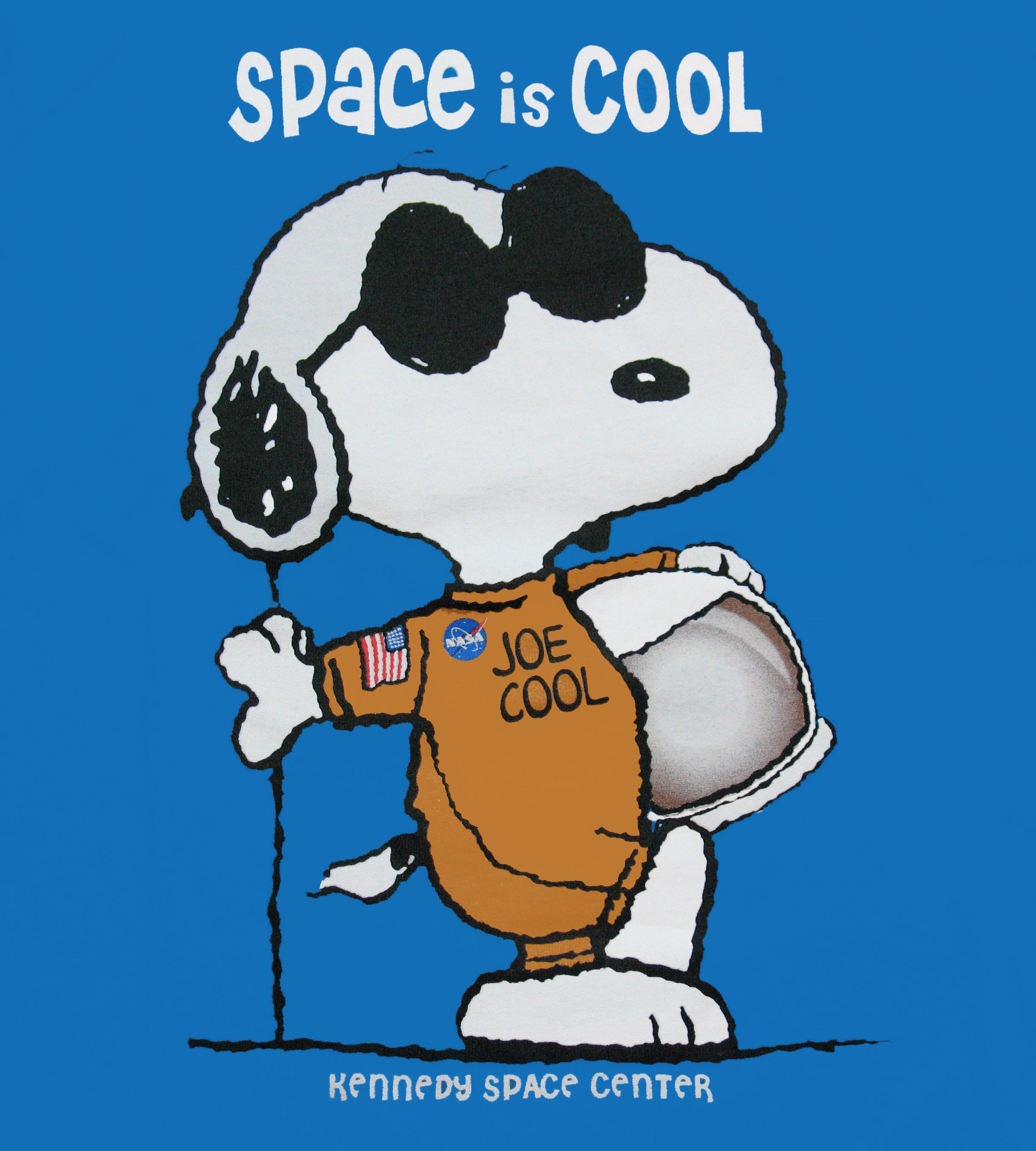 Snoopy Astronaut Art