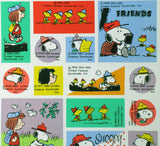 Peanuts Imported Stickers - Rare!