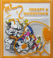 Snoopy and Siblings Sticker Set - 70 Pieces!  Great For Scrapbooking!