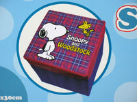 Snoopy Padded Combo. Folding Stool and Storage Box - snoopn4pnuts.com