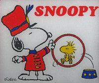 Snoopy Vintage Glass Tray - snoopn4pnuts.com