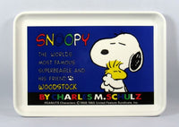 Snoopy And His Friend Melamine Tray
