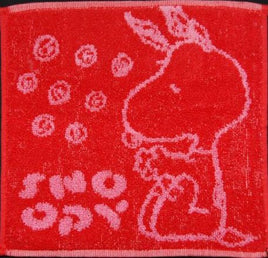 Wash Cloth - Snoopy