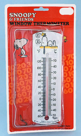 Wall Thermometer 