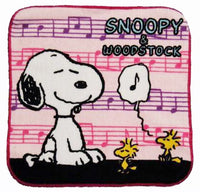 Wash Cloth - Snoopy Music Notes