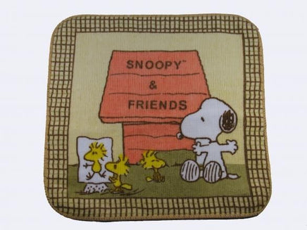 Wash Cloth - Snoopy And Friends