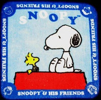 Wash Cloth - Snoopy's Doghouse