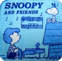 Wash Cloth - Snoopy and Schroeder